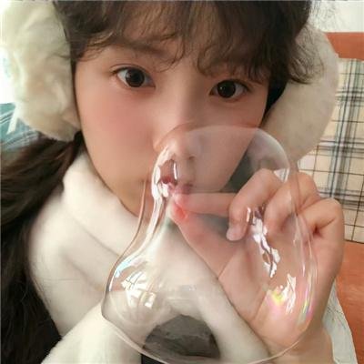 凤侣嬉春